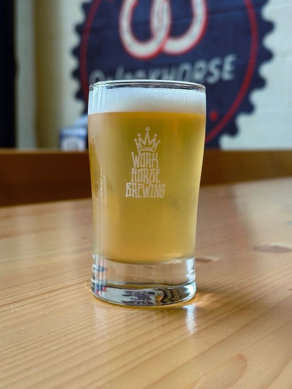 Taster Glass