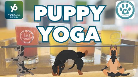 Puppy Yoga w/ YogaSix &amp; TLC Rescue (AUGUST 10th)