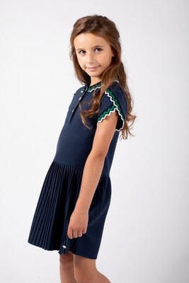 Navy Pleated Dress