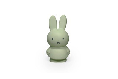 Atelier Pierre Miffy Coin Bank (Small)
