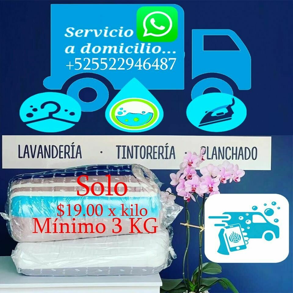Servicio de Tintorería y lavandería a domicilio
