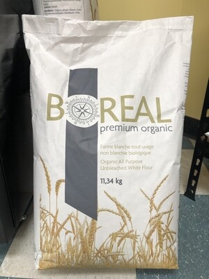 Z Organic all purpose unbleached white Flour 10kg 有机中筋面粉