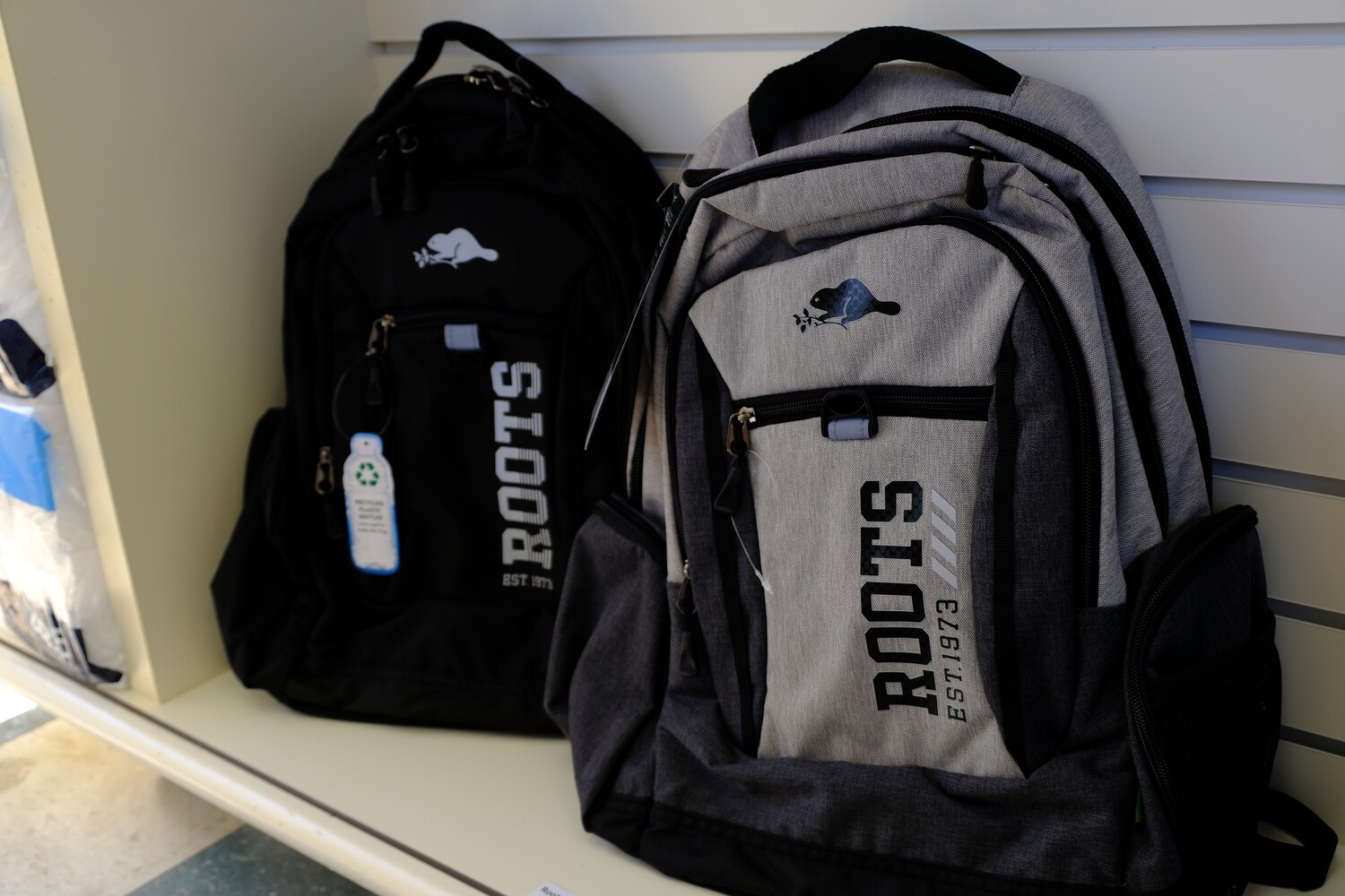 Roots Backpack 书包