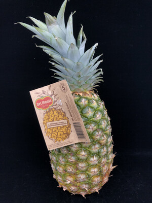 Pineapple 菠萝