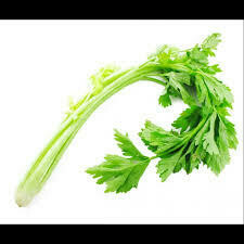 Chinese Celery 唐芹 per lb