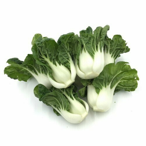 Bok Choy Tips 白菜苗 per lb