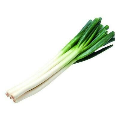 Leek 京葱 per lb