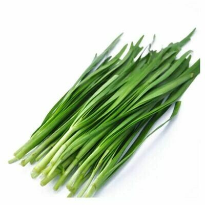 Chive 韭菜 (1lb pack)