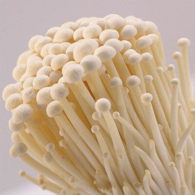 Enoki 金针菇 per lb