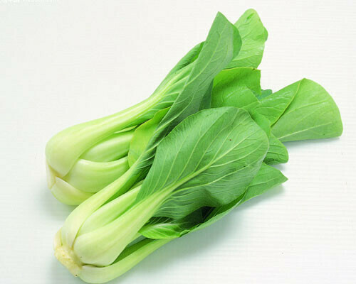 You Choy 小菜心 1lb pack