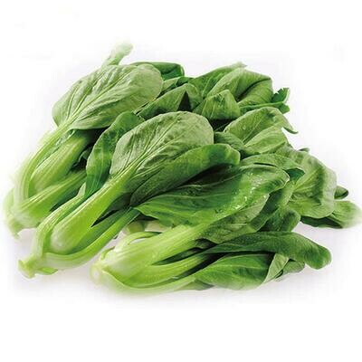 SH Bok Choy Tips 上海苗 per lb