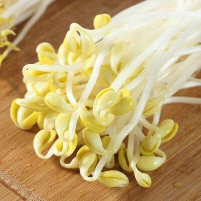 Soy bean sprout 黄豆芽 per lb