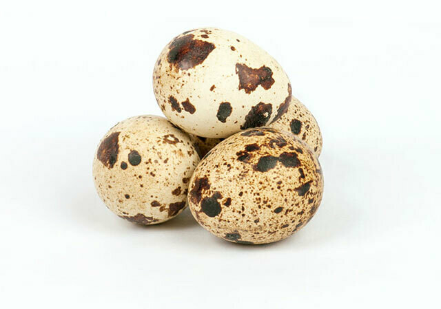 Quail Eggs (12pc) 鹌鹑蛋