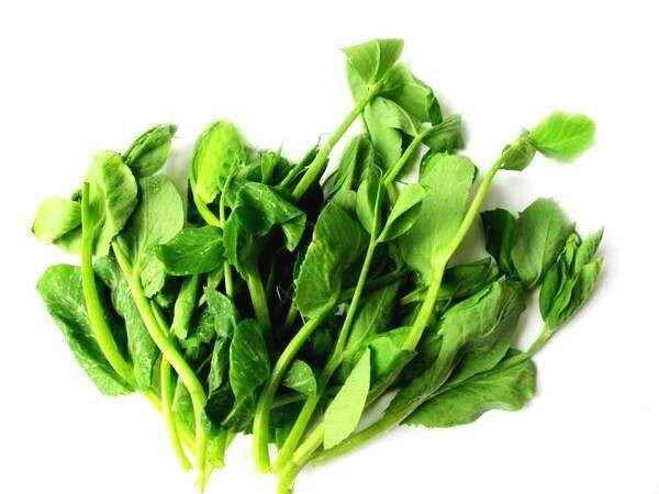 Snow pea tips 豆苗 (0.5lb pack)