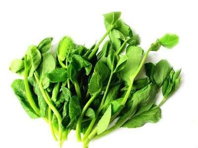 Snow pea tips 豆苗 (0.5lb pack)