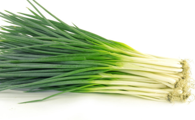 Green Onion 小青葱