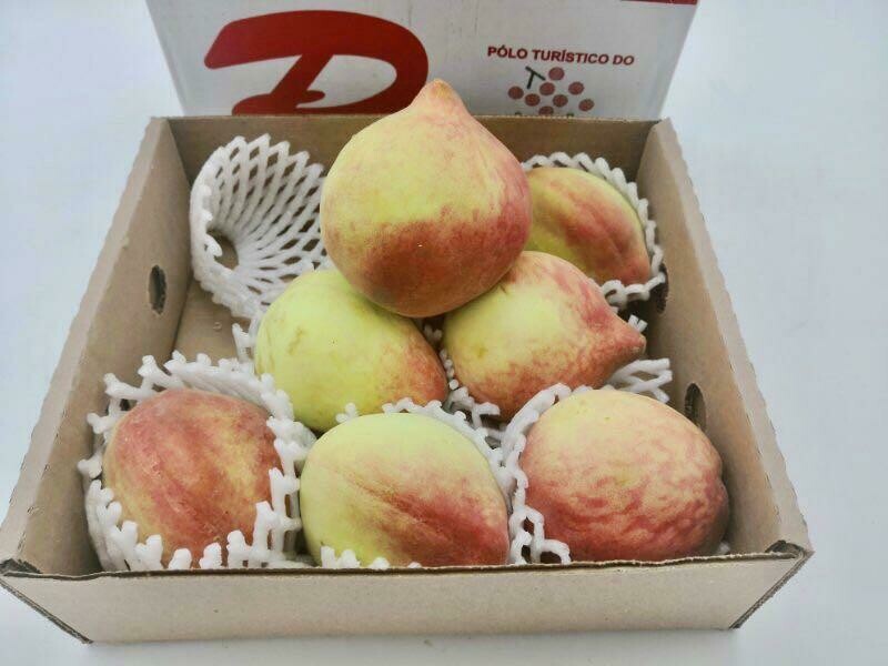 Juicy Peach 水蜜桃