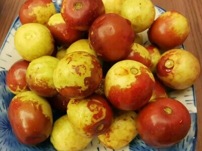 Winter jujube 宁夏小冬枣