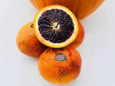 Blood Orange 澳洲顶级血橙
