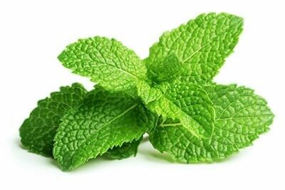 Mint 薄荷 per lb