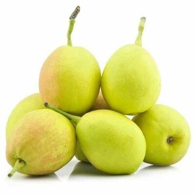 Kuerle fragrant pear 库尔勒香梨