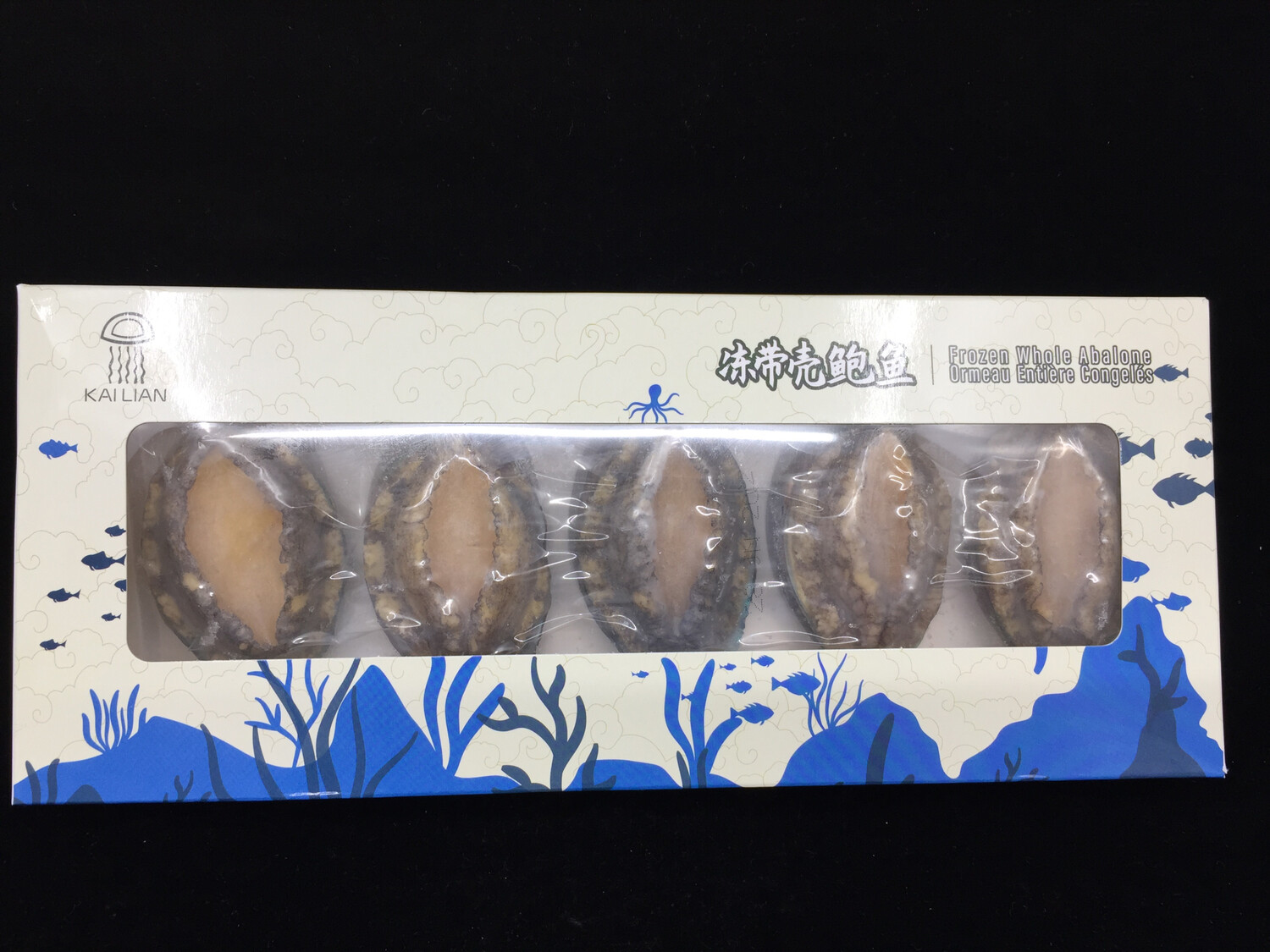 Abalone 小鲍鱼