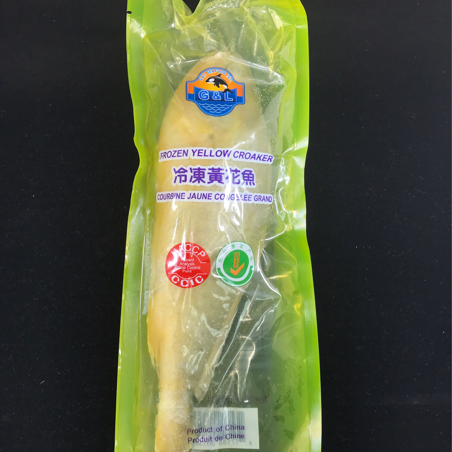 Yellow Croaker大黄花鱼