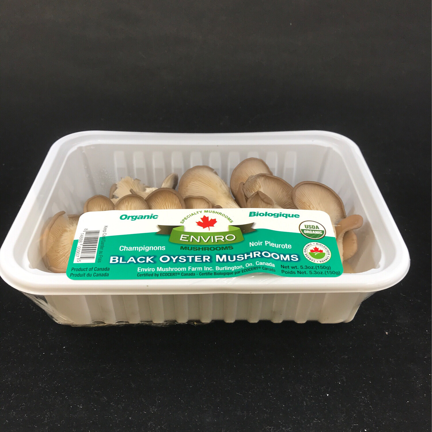 Oyster mushroom 蠔菇 per lb