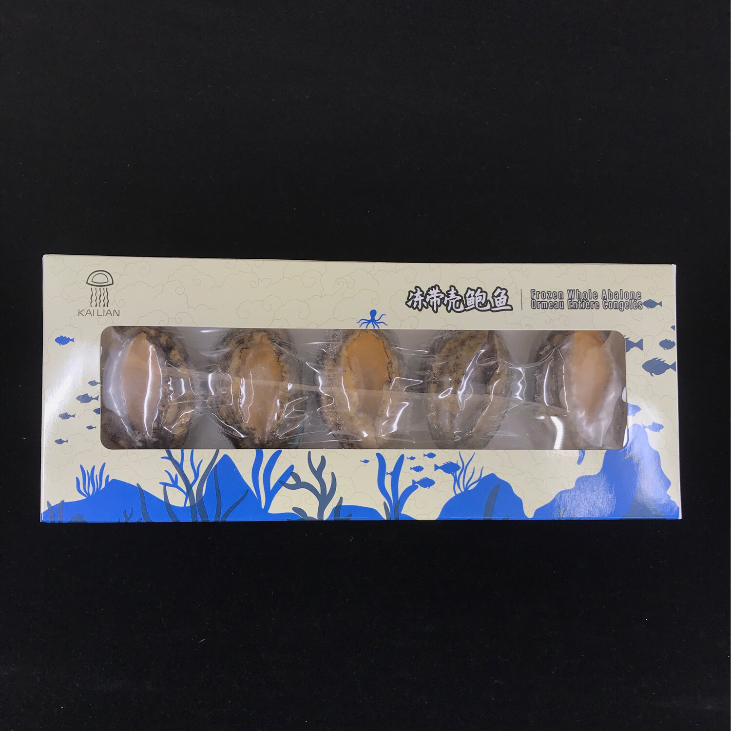 Z Abalone 小鲍鱼