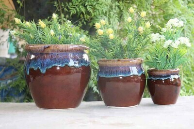 Honey Pot