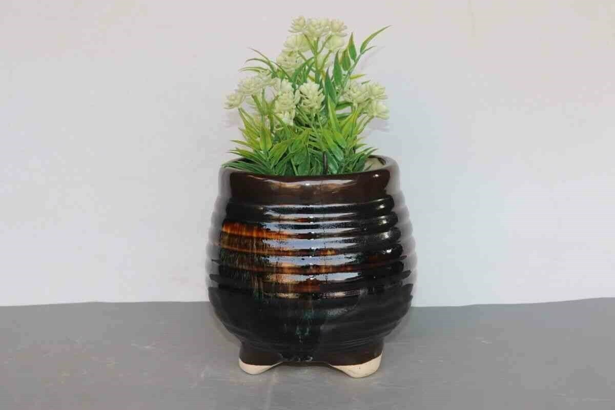 Brown Striped