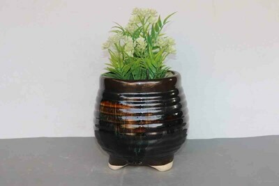 Brown Striped