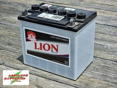 Lion 205 12N24-3 Mower Battery 12V