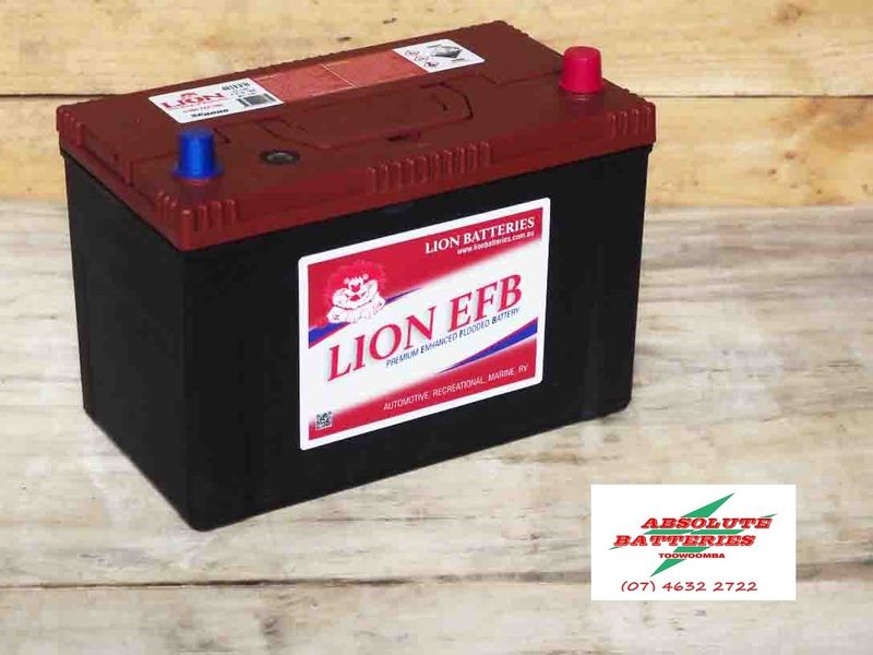 Lion 481EFB (N70ZZL EFB P110)