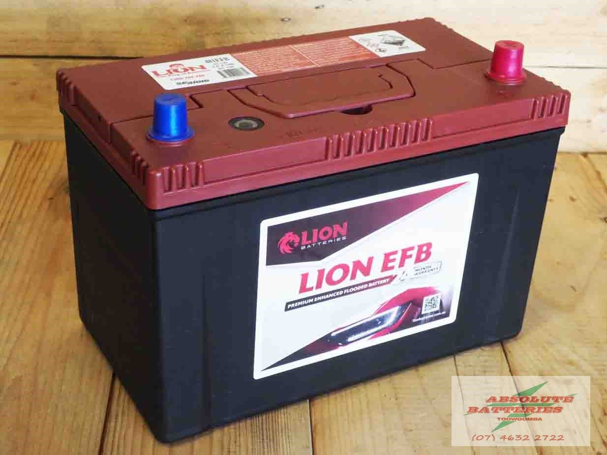 Lion 481 EFB (N70ZZL EFB P110)