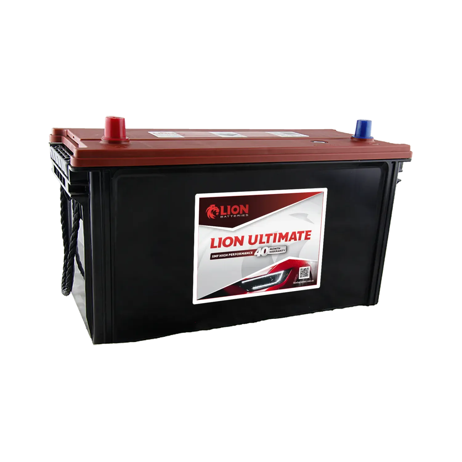 Lion 490 (N100)