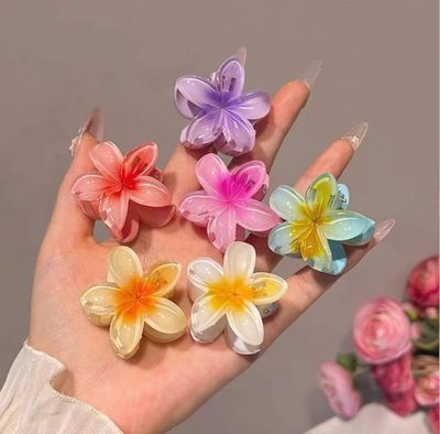 Pinza Mini Hawaiiana Multicolor