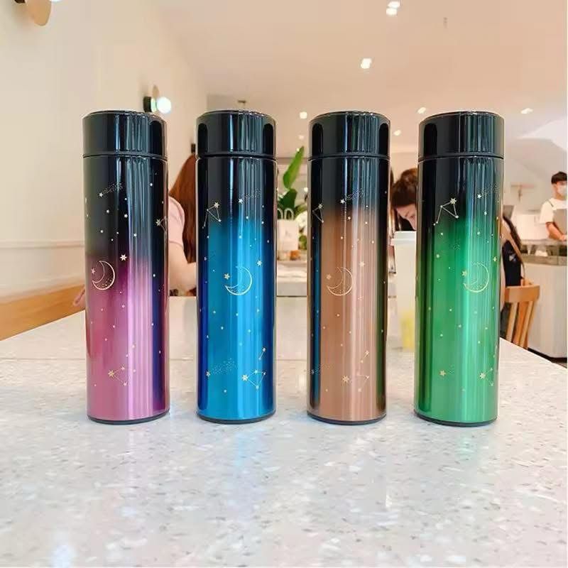 Termo acero Digital Luna