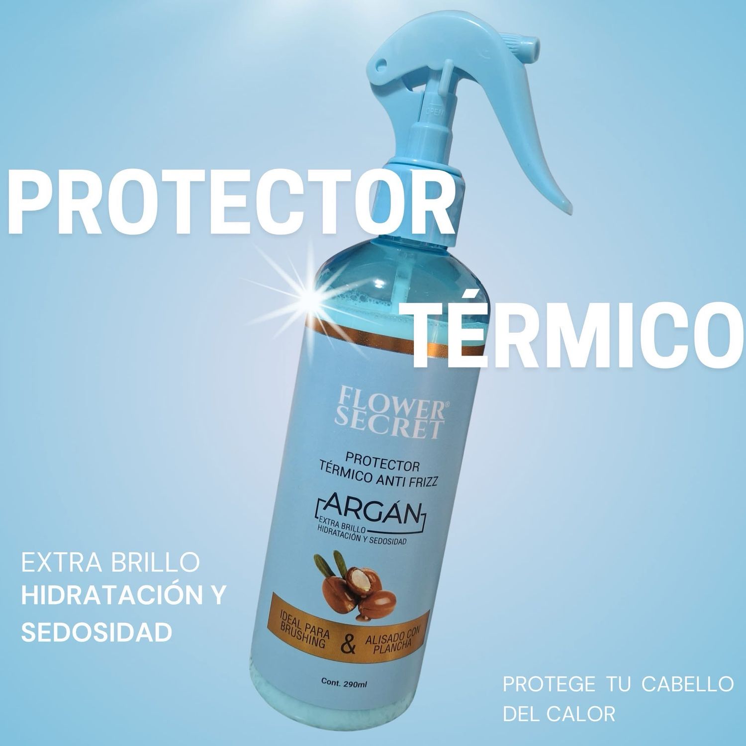 Protector Térmico Argan  Anti Frizz