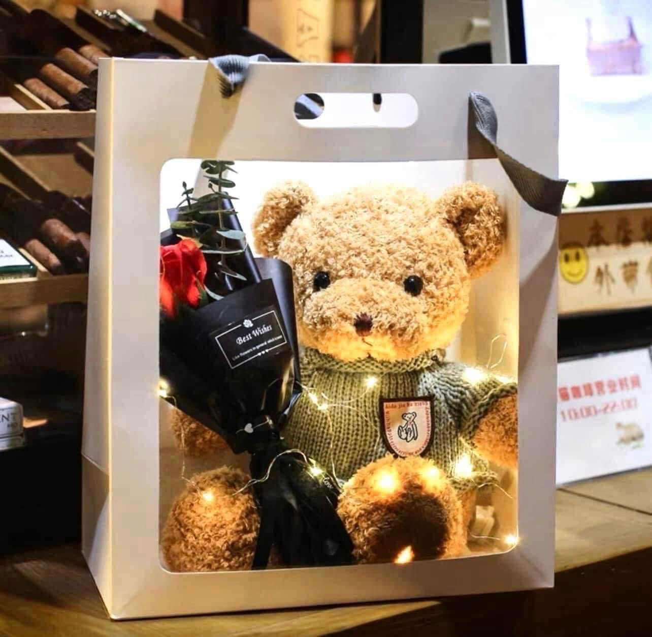 Oso Teddy con bolsa, Tosa y luz el color se envía surtido al azahar
