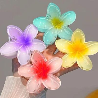 Docena pinza flor Hawaiana Grande