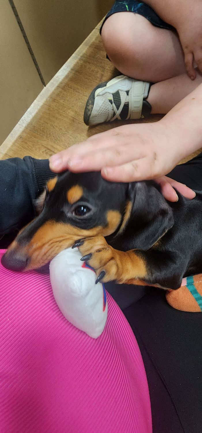 Buster
