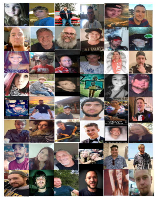 Collage 7
