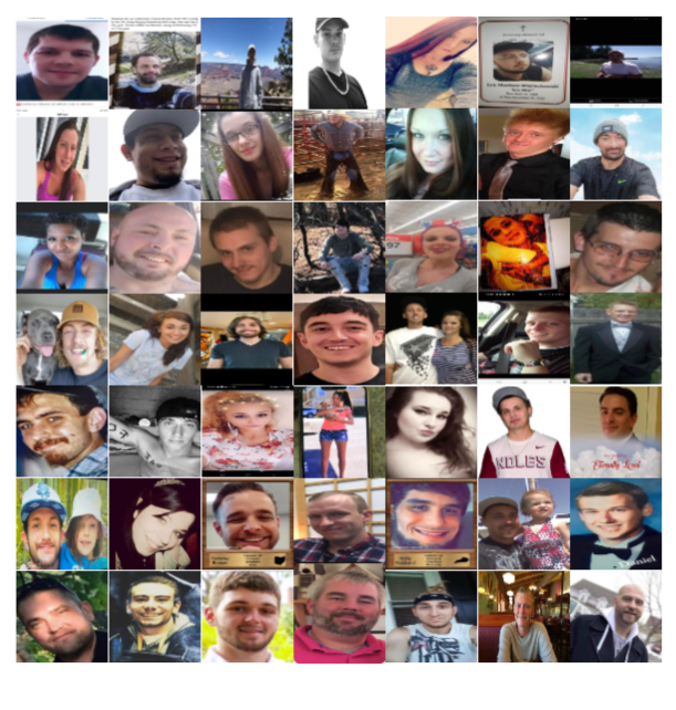 Collage 11
