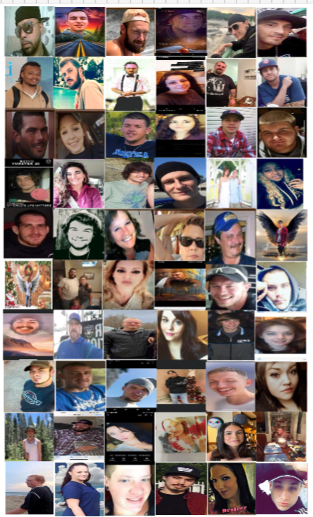 Collage 20