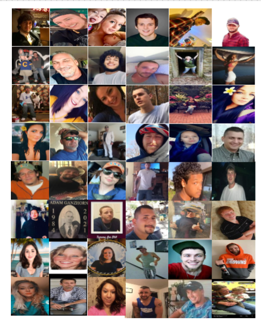 Collage 21