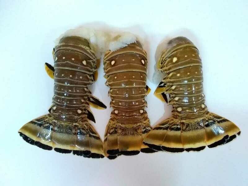 Lobster Tails