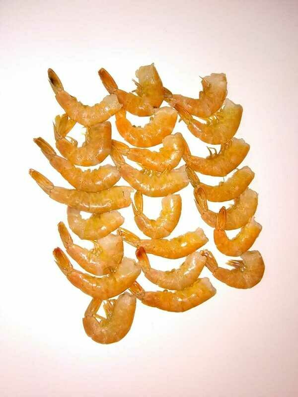 Jumbo Shrimp Tails
