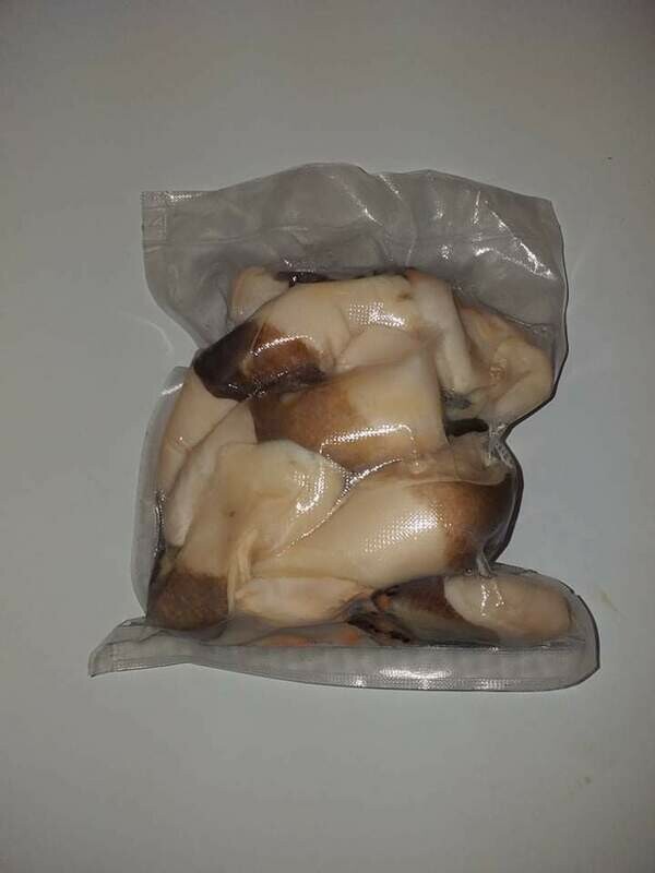 Market Clean Conch Meat