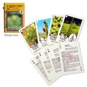 Wild plants, food cards: edible/medicinal: